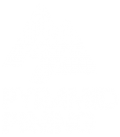 Pyramid Paving (2006) Ltd.